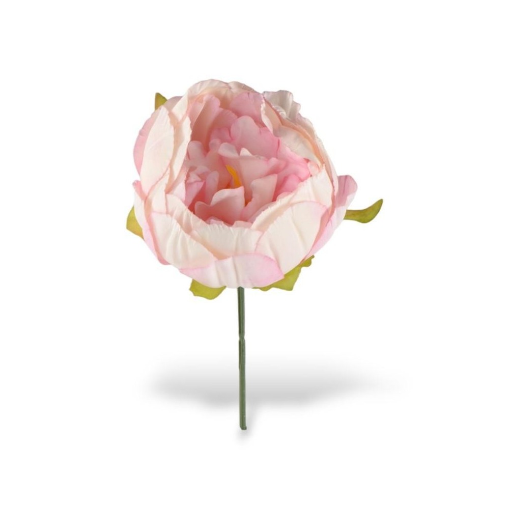 PEONIA PINK STELO CM10XD11